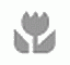 Logo Almut Ilsen