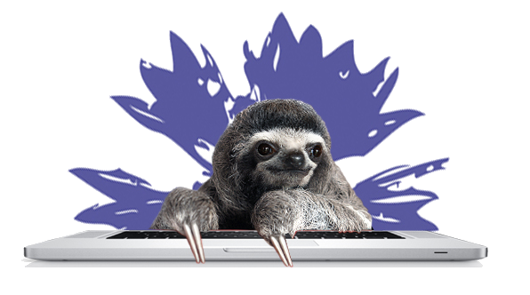 Faultier mit Tablet vor Kornblume