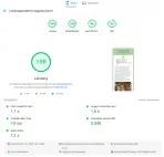 Screenshot Page Speed Insights