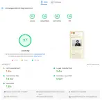 Screenshot Page Speed Insights