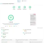 Screenshot Page Speed Insights